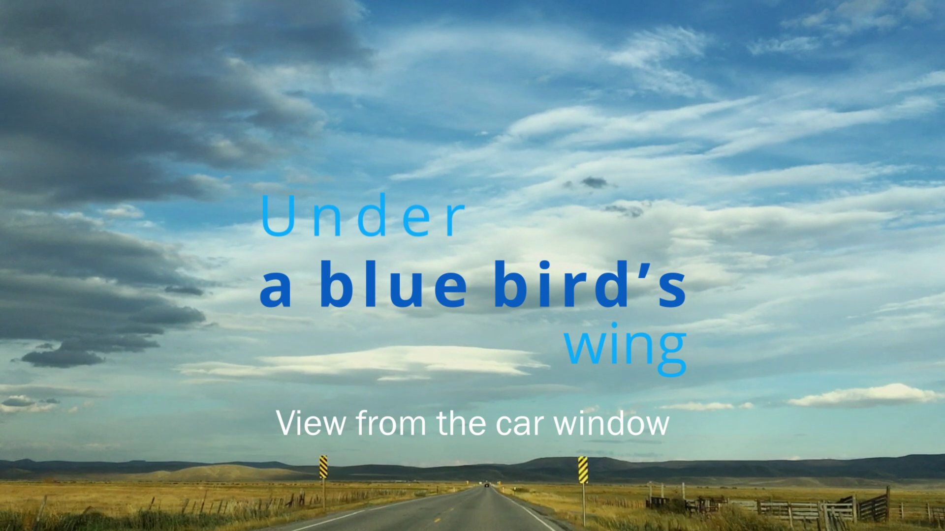 Under A Blue Bird's Wing