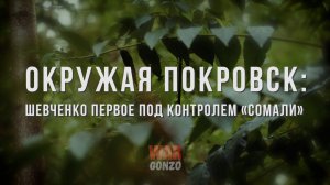 Спецрепортаж Wargonzo Окружая Покровск: Шевченко Первое под контролем «Сомали»