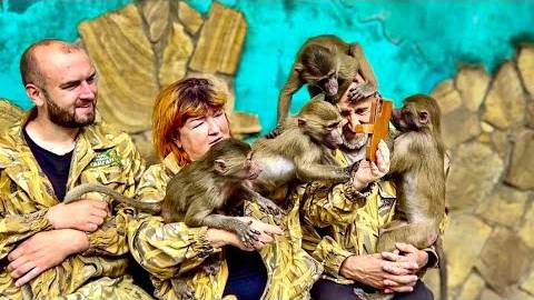 Хотите поднять себе настроение СМОТРИМ смотреть онлайн