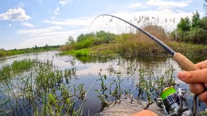 ТУТ ВСЁ В ТРАВЕ, РЫБА КЛЮЁТ и ДУША РАДУЕТСЯ! Рыбалка на реке, спиннинг в 2025