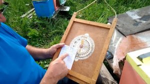 Информация по маткам