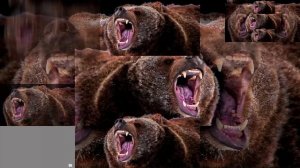 Медведь злится Scan has a Sparta Pulse Base V7 Remix