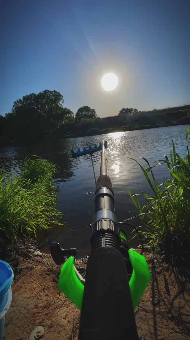 Это ли не счастье? 🎣🏕️