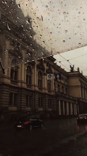 Обои на телефон смотреть онлайн