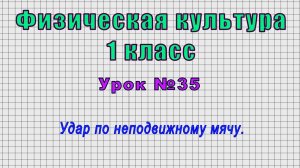 Физическая культура 1 класс (Урок№35 - Удар по неподвижному мячу.)
