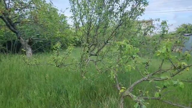 Продам земельный участок в Севастополе смотреть онлайн