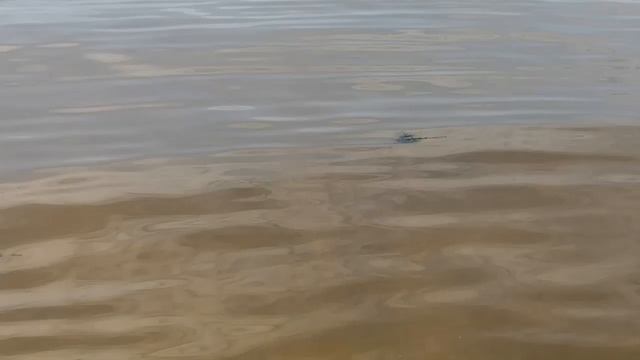 Ритуал - онлайн Снять порчи на новолуние на букеты в речку. 3. Приворот на крови. К Каме.