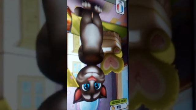 Мой том Д.С.Н смотреть онлайн