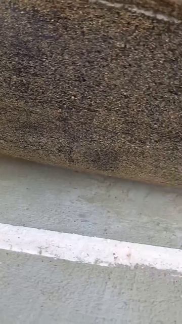 Между доской и стяжкой двойной слой рубероида смотреть онлайн