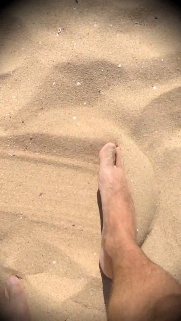 Золотые монеты в песке 🙀 Можно ли найти без золотоиск смотреть онлайн