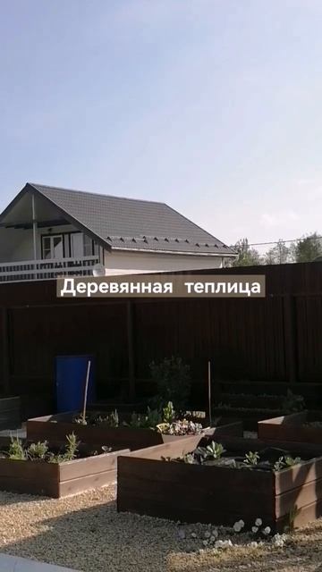 Деревянная теплица #огород #теплица #дача #высокиегряд