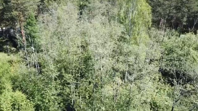 Вид сверху смотреть онлайн