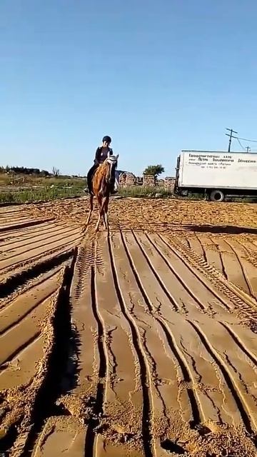 #Артефакт на песке впервые. Как жить??? смотреть онлайн