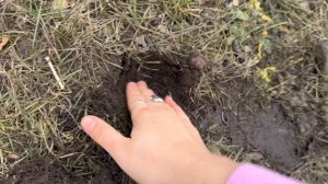 Делаем земляную свечу. Урок как делать земляную свечу