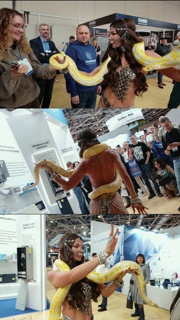 Покажите себя на выставке — в кадре и в деле смотреть онлайн