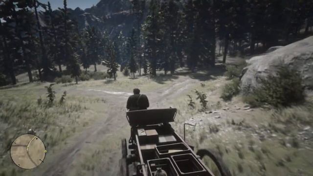 Red Dead Redemption 2  - Колесо