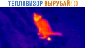 ТЕПЛОВИЗОР ВЫРУБАЙ! ))) Приколы с котами | Мемозг 1613