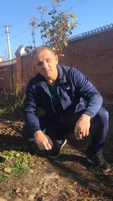 #цитатасосмыслом #рекомендации #цитата смотреть онлайн