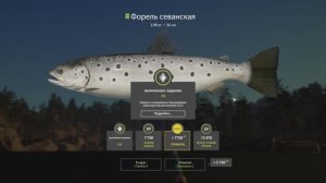 Русская Рыбалка 4-Задание: Форель Севанская оз. Куори