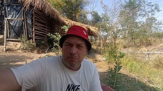 Свои обдирают своих❗Таиланд смотреть онлайн