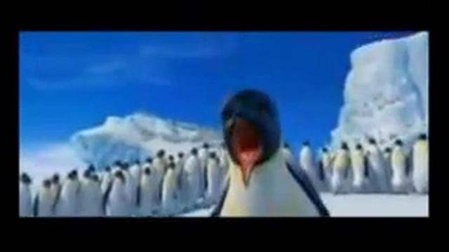 пингвины умеют танцевать