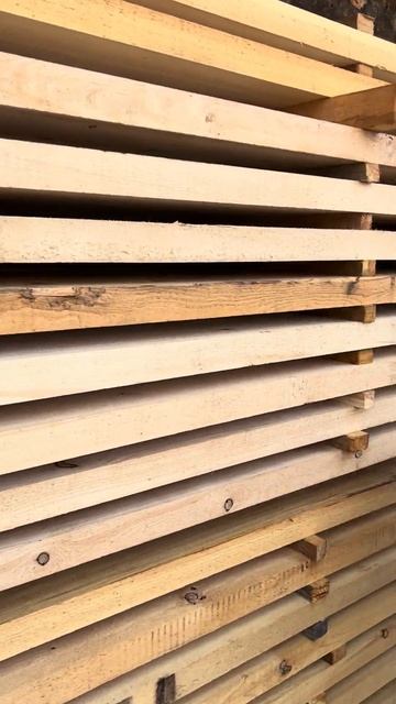 Открываем сушилку с кедровыми досками #чёрнаяикра #ст смотреть онлайн