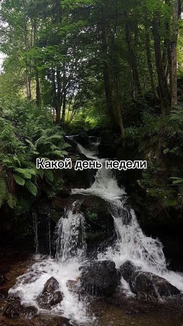 Я уже не помню какой день недели...Мини-альбом на всех площадках D3MINWEB rap snippetмузыкарэ