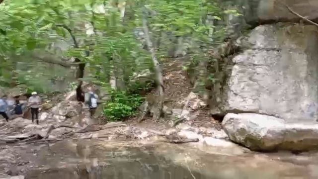 Бага и ромашки Байдарской долины. 31.05.25. смотреть онлайн