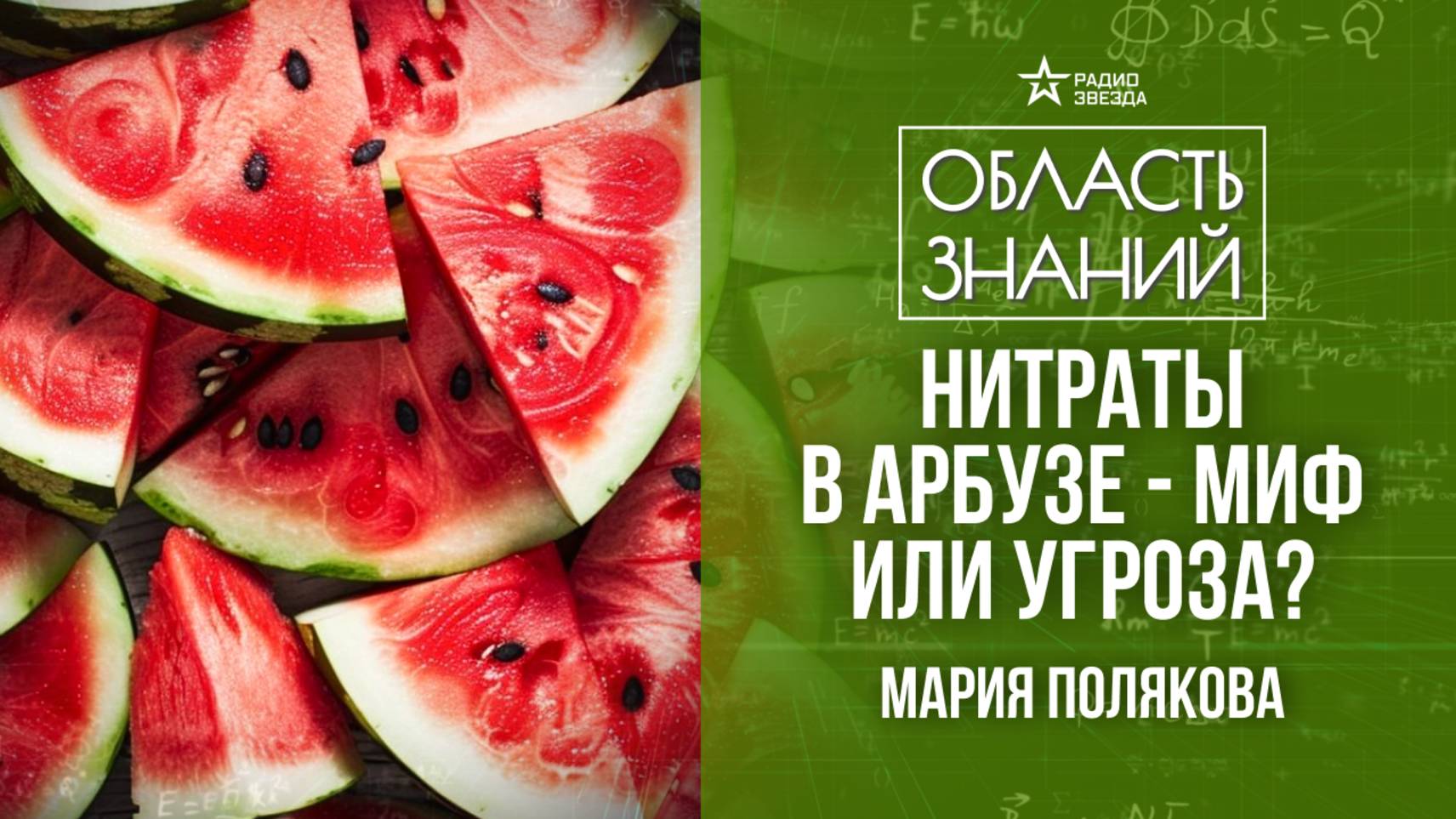 История арбуза. Лекция агронома Марии Поляковой смотреть онлайн