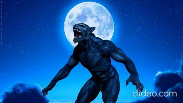 реальные истории. кровопийца и разговор людоедов смотреть онлайн