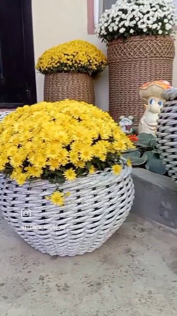 Плету кашпо из искусственного ротанга 🧺❤️🌺 смотреть онлайн