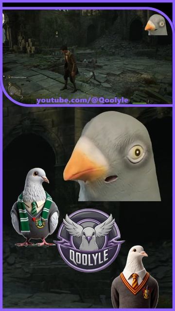 ВСЕГО ХОРОШЕГО! #qoolyle #хогвартс #hogwarts #игры #прохождение #рекомендации #рек #реки #голубь