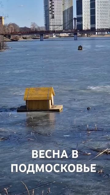 Пушкино Московская обл 20.03.2025 #shortvideo #shorts #пушкино #подм смотреть онлайн