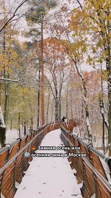 Красивые места в Москве #nature #fall #autumn #park #forest #winter смотреть онлайн