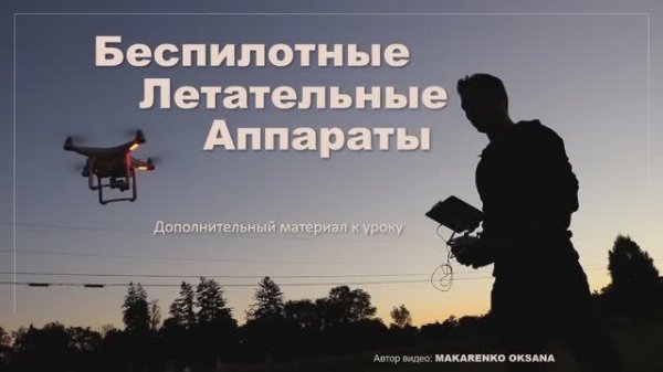 БПЛА (беспилотные летательные аппараты)