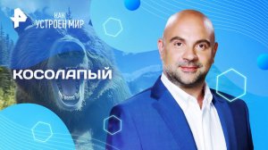 Косолапый — Как устроен мир с Тимофеем Баженовым (02.06.2025)