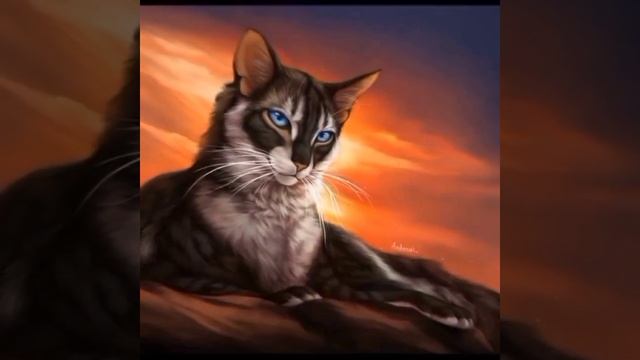 Обои с котами воителями 1 часть Коршун смотреть онлайн