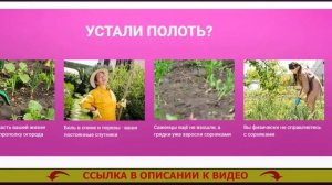 Green belt средство от сорняков сплошного действия