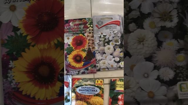 Какие цветы точно вырастут на севере смотреть онлайн