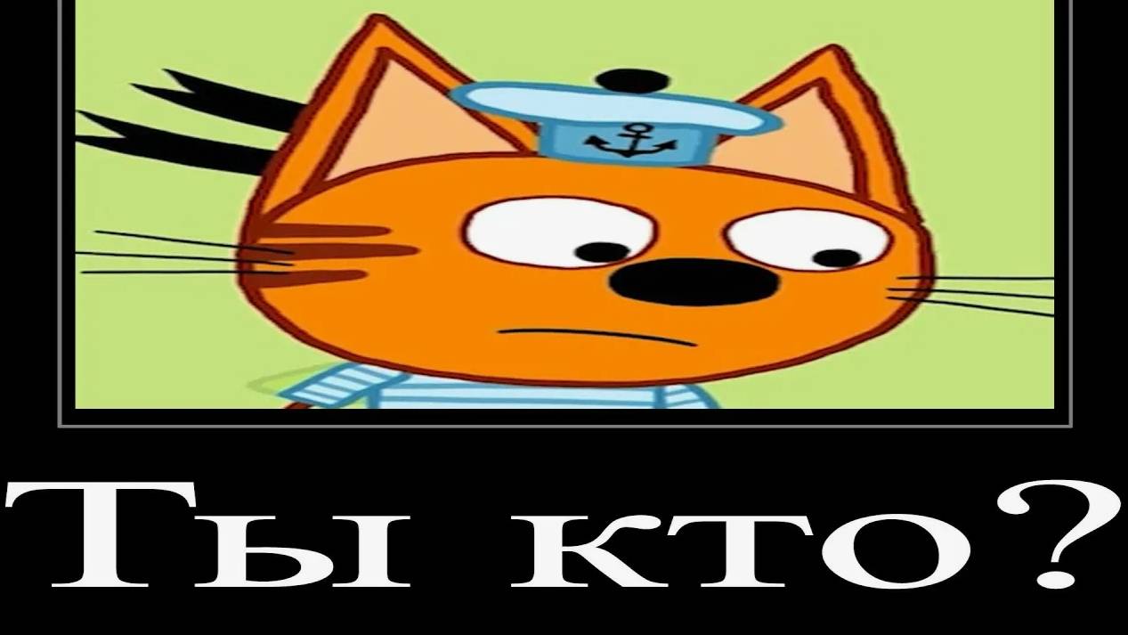 МУД ТРИ КОТА