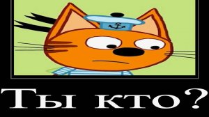 МУД ТРИ КОТА