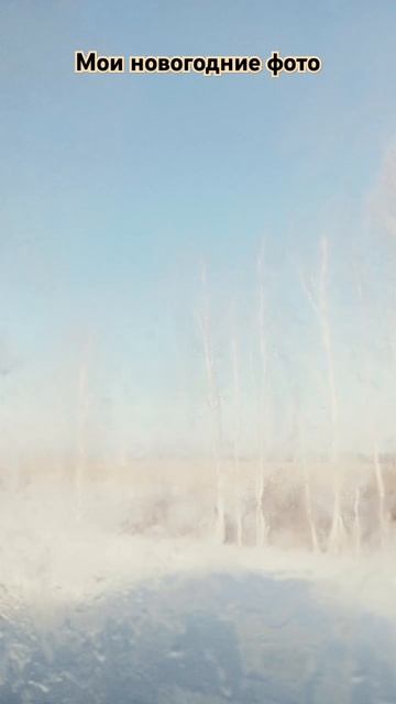 Мои новогодние фото #cat #catcancook #animation #catcookingshow #photography #beac смотреть онлайн