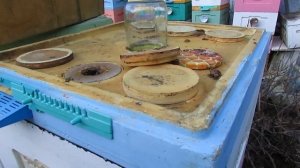 10 рамочный улей ППС Лысонь на рамку Дадан - зимовка на ?