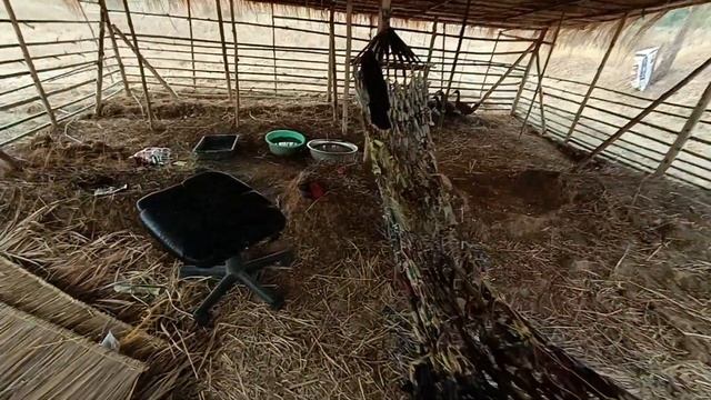Сколько денег мы вложили ферму. Бизнес в Таиланде смотреть онлайн
