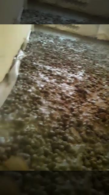 заливка пола под ламинатом в квартире