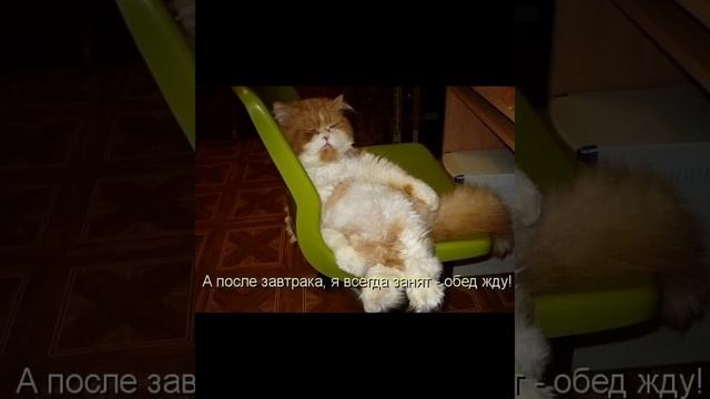 Праздник мгновений: вдохновение в каждой детали! смот? смотреть онлайн