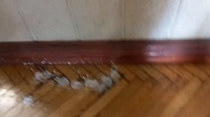 Как просто удалить пятна грязи на паркете / How to remove stains