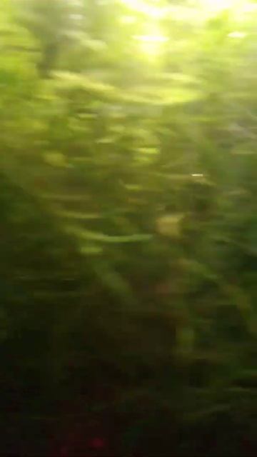 #1 мой аквариум смотреть онлайн