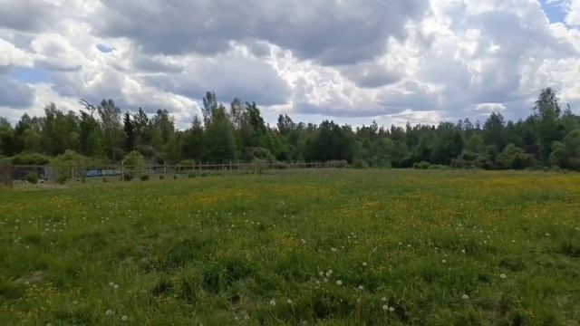 Тверская область, село Красная Гора, зем участок ИЖС смотреть онлайн