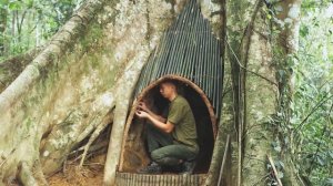 Приключения в джунглях.Убедище под деревом.